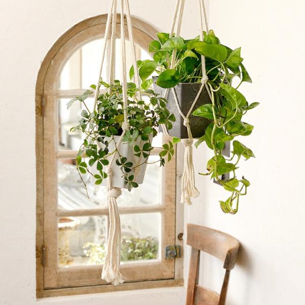 ボタニー ハンギング キューブ 12型 インテリア雑貨 プランター 植木鉢 鉢カバー インテリア シンプル 花うるる 室内 おしゃれ