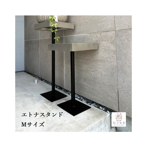 重厚なフラワースタンド [エトナスタンド50 (Mサイズ)] ミュールミル