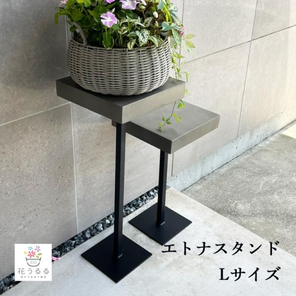 重厚なフラワースタンド [エトナスタンド70 (Lサイズ)] ミュールミル