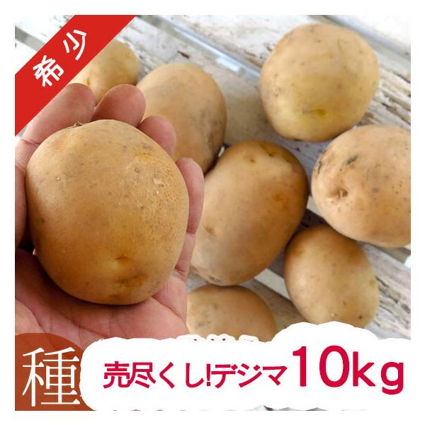 秋ジャガイモ種芋　デジマ　10キロ ITANSE 秋植えじゃがいもの種芋 品種：デジマ 10kg(充填時) 野菜