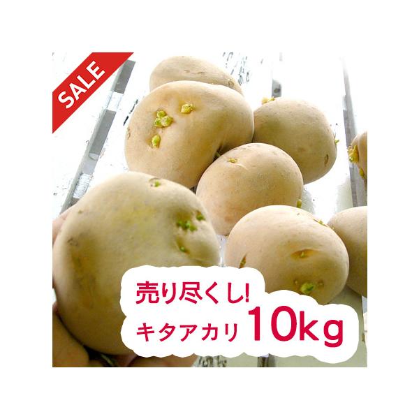 最終処分 売り尽くし 10kg 春植え じゃがいも 種芋「キタアカリ 最終処分 売り尽くし 10kg 春植え じゃがいも 種芋「キタアカリ