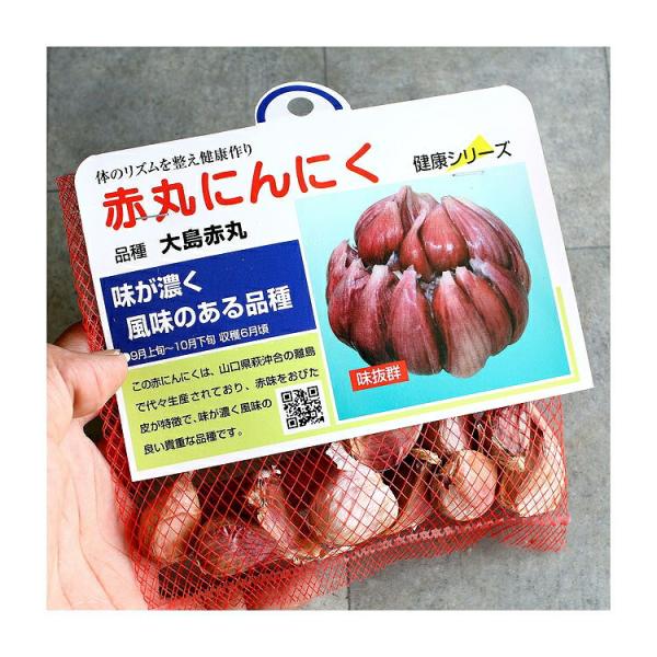 「 赤丸ニンニク (山口県産）種子 10リン片」国産 にんにく 種 ニンニク 種子 種 苗 家庭菜園 苗