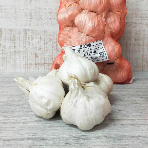 「 早生 ニンニク 種 (山口県産）1kg」国産 にんにく 種 ニンニク カテイ 種子 種 苗 家庭菜園 苗
