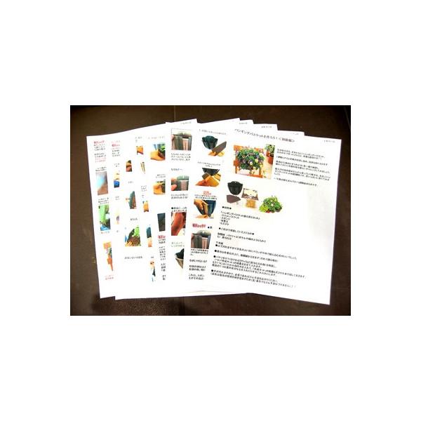 当店で販売中の「ハンギングバスケット作成キット」で絶賛いただいている「作成マニュアル」のWEB版です。※お間違いが増えておりますのでご注意くださいこの商品は当店から“メールで、パソコン画面上でご覧いただけるマニュアルのアドレスをご案内させて...