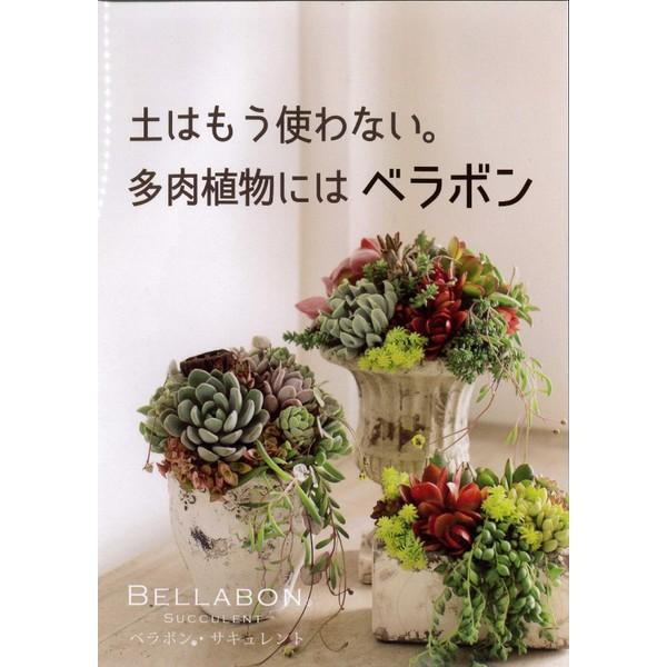 １リットル 多肉植物の植え込みに最適 培養土の代わりに使える 最高級ヤシの実チップ ベラボン サキュレント ゴールド 給水 保水性も抜群 Buyee Buyee Japanese Proxy Service Buy From Japan Bot Online