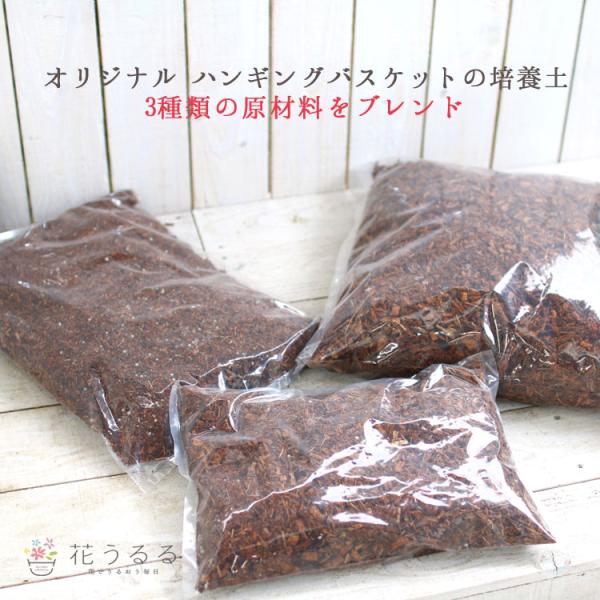 寄せ植え ハーバリウム おしゃれなハンギングバスケット ギャザリングをギフトやプレゼントから玄関やベランダやインテリアに 花うるる ヤフー店