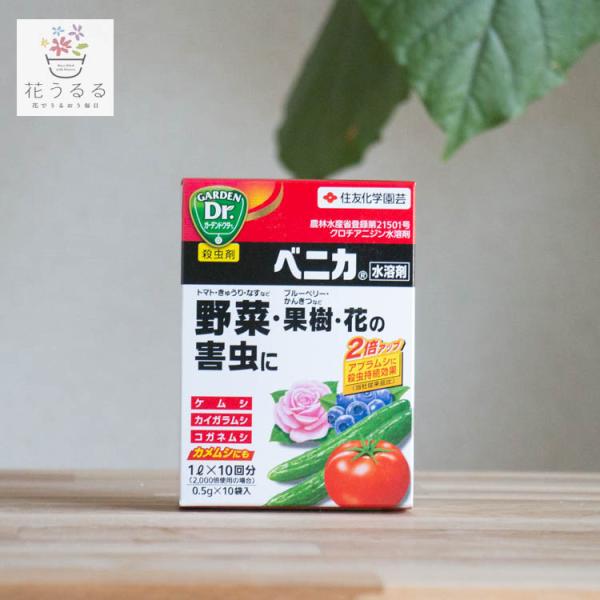 ＼条件付きでメール便OK／ ベニカ 水溶剤 0.5g×10g (住友化学園芸 水に溶かすタイプ 菜園 花 ハーブ 果樹 バラ 殺虫剤 家庭菜園 園芸  アブラムシ カメムシ
