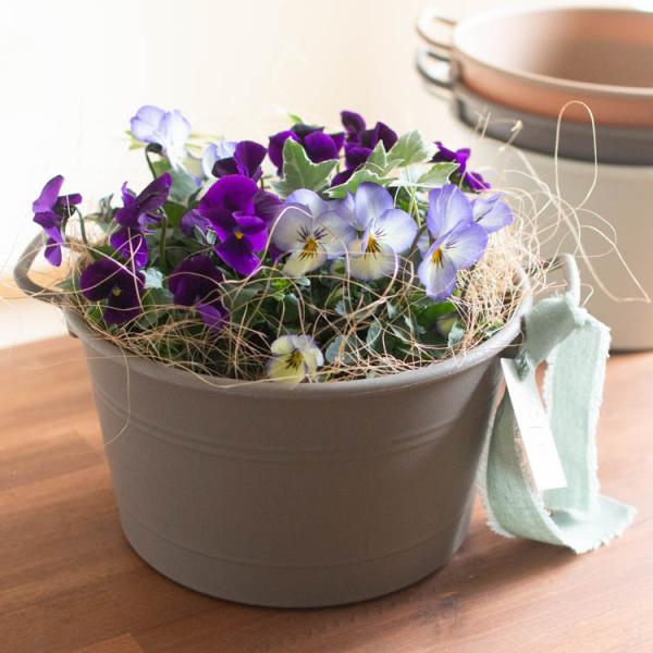 【商品について】 当店のロングセラーの人気作品に「おしゃれなミニプランター版」の寄せ植えタイプが新登場。冬にお届けした場合は花は少なめですが、春にかけて少しずつ大きく育ち、春には写真のように満開になります。（写真のスタンドやハンギングバスケ...