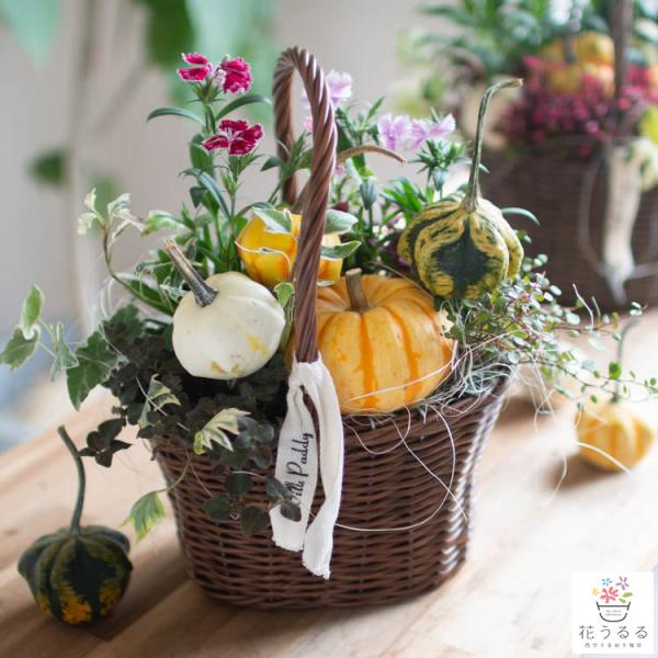 ★えっちゃん★ ハロウィンアレンジメント　他 ハロウィン新アー写公開⑤🧸🕸️】 ♡.*・ﾟ