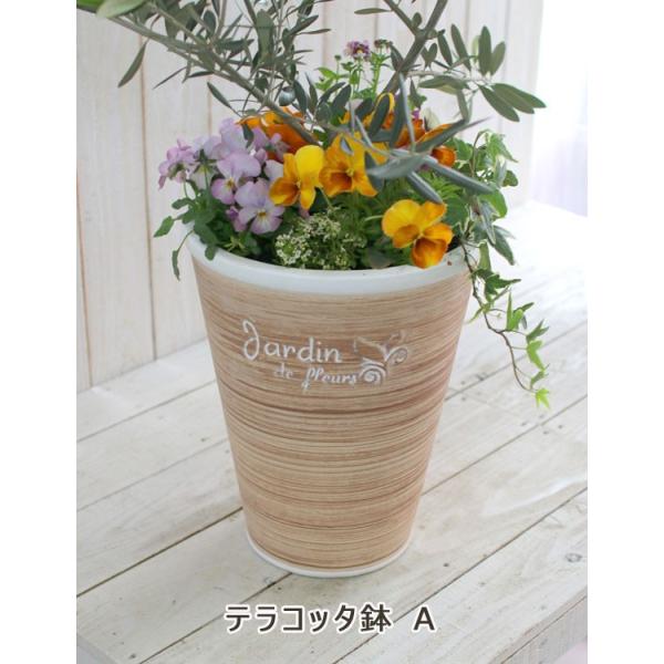 選べる鉢2種類 送料無料 オリーブの木 季節の花を寄せ植え テラコッタver 高さ110 1cm前後 メインツリー 寄せ植え 玄関先 おしゃれ フラワー Buyee 日本代购平台 产品购物网站大全 Buyee一站式代购 Bot Online