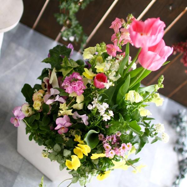 春の寄せ植え 花うるるアレンジ『チューリップ 寄せ植え 選べる陶器鉢
