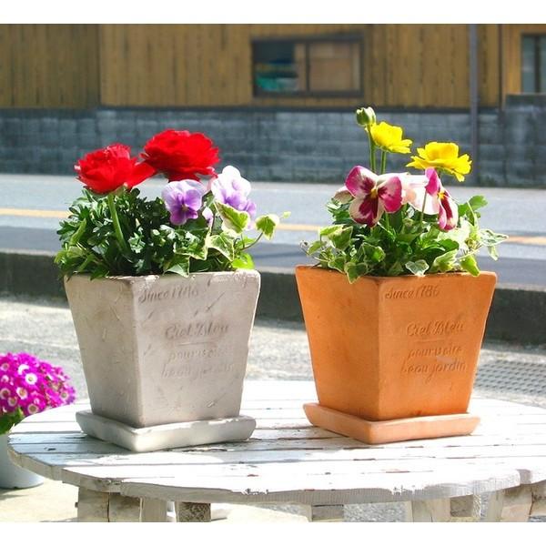 数量限定 キュートなミニテラコッタの春色寄せ植え 店長アレンジ Spring ラナンキュラス ご自宅用からプレゼントにもどうぞヽ O 丿 Yoseue Minitera Rana13 花うるる ハンギング 寄せ植え通販 通販 Yahoo ショッピング
