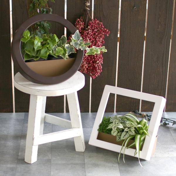 観葉植物 ハンギングバスケットの人気商品 通販 価格比較 価格 Com