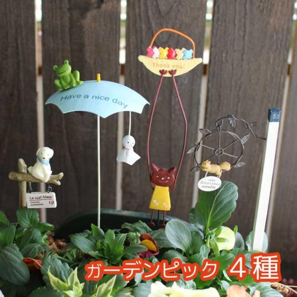 hanaururu_zakka-pik-4