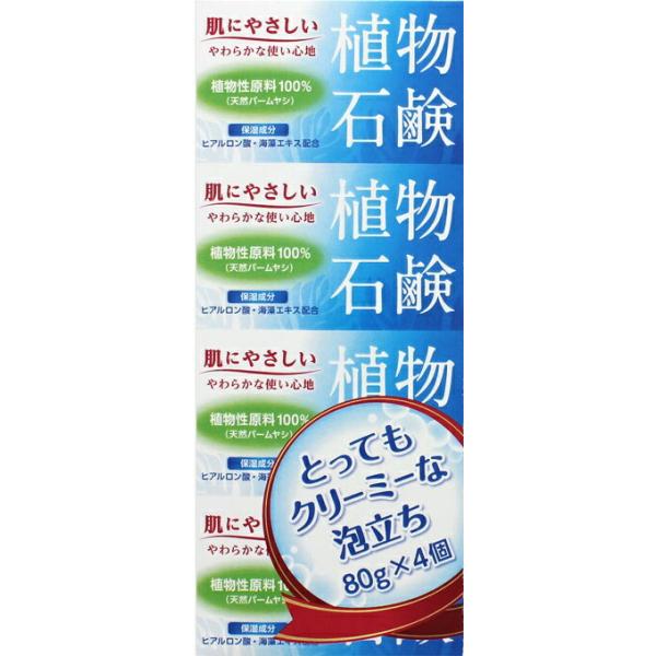 【ケース販売】【32個セット】日本薬剤 植物石鹸NY 80g×4個 (4954097914459-32)