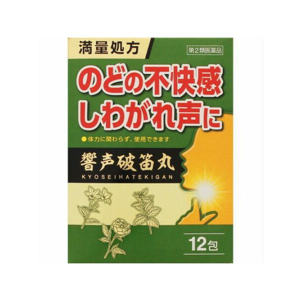 特徴漢方製剤響声破笛丸は声の出し過ぎなどによるしわがれ声やのどの不快感を改善する働きがあります。本剤は漢方処方である響声破笛丸の生薬を抽出し、乾燥エキスとした後、服用しやすい顆粒剤としました。効能・効果しわがれ声、咽喉不快〈効能・効果に関連...