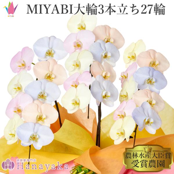 hanayaka_10309miyabic