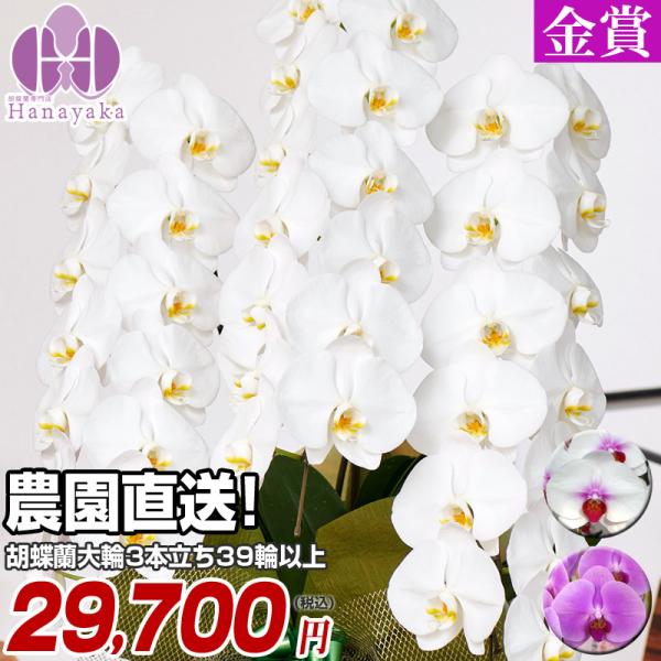 Ӓ y|Cg10{z 3{ 39ց@ڂݍ ԏ؎D Mtg v[g j  t[  J@ JX J a 