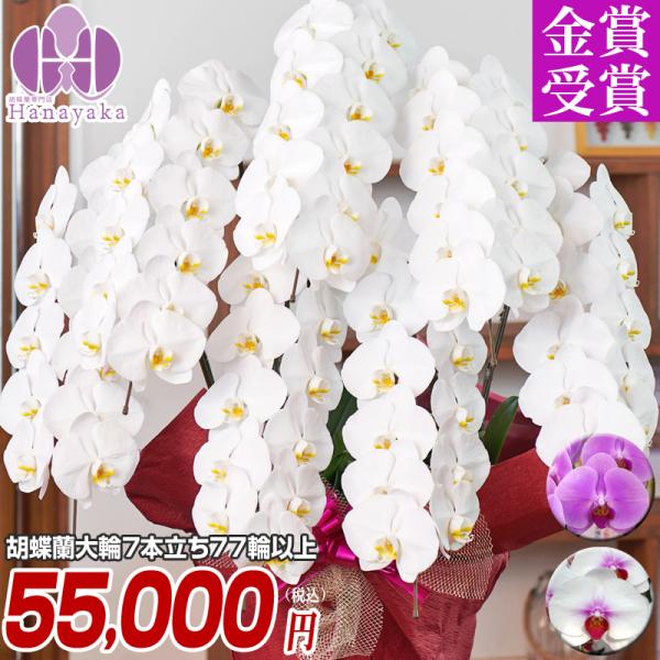 Ӓ y|Cg10{Iz 7{77ֈȏiQ݁j摜zMyzӒ Mtg  j    J@ JX J j a 