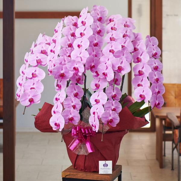�Ӓ��� ��� 7�{����84�ֈȏ� �ڂݍ��@�摜�z�M���� ���� �Ӓ��� �M�t�g �v���[���g ���j�� ��  �J�@ �J�X �J�� �j�� �a���� ���� 12R ���i�摜2