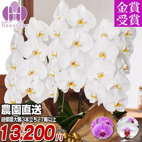 Ӓ 3{ 27ֈȏ Q  j  t[ J@ JX J j   ̓ Mtg v[g