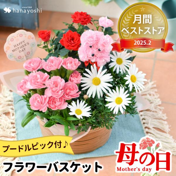 母の日 プレゼント ギフト 花 19 送料無料 カーネーション ミニバラなど人気の花鉢がぎゅっ ふわふわプードルが笑顔をお届け 寄せ鉢 母の日ギフト Buyee Buyee 日本の通販商品 オークションの代理入札 代理購入