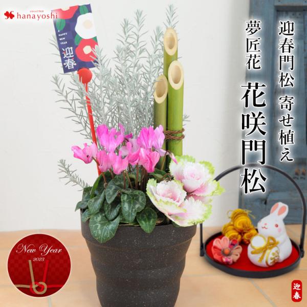 玄関 花 寄せ植えの人気商品 通販 価格比較 価格 Com