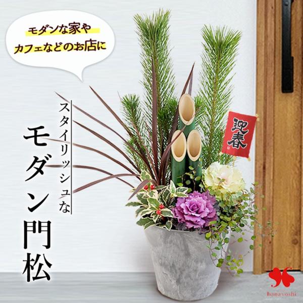 玄関 花 寄せ植えの人気商品 通販 価格比較 価格 Com