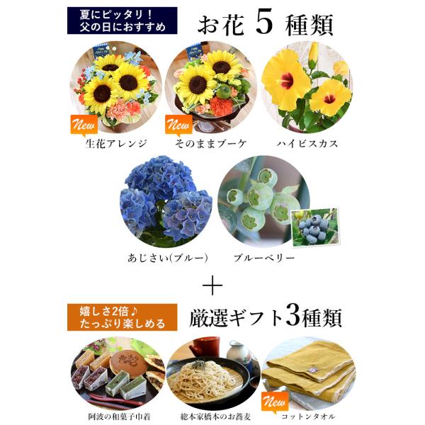父の日 選べる15通り 大輪ひまわり か アジサイ か ハイビスカス か ブルーベリー 和菓子巾着 お蕎麦 すだち酒 選べるセット Buyee Buyee 提供一站式最全面最專業現地yahoo Japan拍賣代bid代拍代購服務 Bot Online