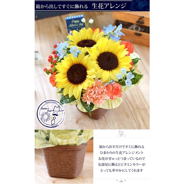 父の日 花 ギフト プレゼント グルメ 15通り 大輪ひまわり か 寄せ植え か ハイビスカス 選べる3種 和菓子 老舗のお蕎麦 海産セット から選べるセット Buyee Buyee Jasa Perwakilan Pembelian Barang Online Di Jepang