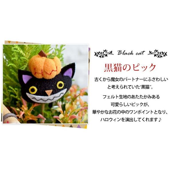 送料無料 期間限定 ハロウィン 寄せ植え花 誕生日 玄関 鉢 誕生日プレゼント フラワーギフト 女性 メッセージカード付きご注文5日後より 10 31まで日時指定ok Buyee Buyee 日本の通販商品 オークションの代理入札 代理購入