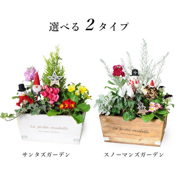 クリスマスの寄せ植え 選べる2カラー ミニクリスマスツリーとしても おしゃれ 鉢植え 花 ギフト 冬 誕生日 クリスマス プレゼント シクラメン Buyee Buyee Japanese Proxy Service Buy From Japan Bot Online