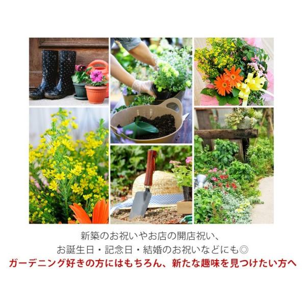 季節のおまかせ花鉢とグリーンの寄せ入れ Sサイズ フラワーバスケット 鉢植え 花 誕生日 プレゼント 女性 母 祖母 退職祝い 送別会 母の日 花鉢 あすつく対応 Buyee 日本代购平台 产品购物网站大全 Buyee一站式代购 Bot Online