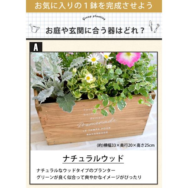 寄せ植え おしゃれ 花色とプランターが選べる 季節のおまかせカントリーガーデン 旬のお花をたっぷり 鉢植え お祝い 誕生日プレゼント 女性 新築祝い Buyee 日本代购平台 产品购物网站大全 Buyee一站式代购 Bot Online