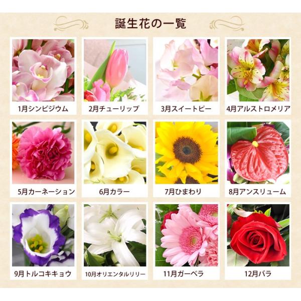 誕生花を使ったアレンジメント 誕生花の生花アレンジmサイズ 5月カーネーション 花 誕生日 プレゼント お誕生日 お祝い フラワーギフト 還暦祝い 米寿 古希 喜寿 Buyee Buyee 提供一站式最全面最專業現地yahoo Japan拍賣代bid代拍代購服務 Bot Online