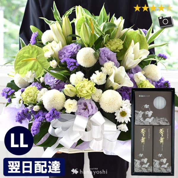 [Release date: August 1, 2010]【内容】季節の花各種/グリーン/　　※お花の色合いについて：●白のみ、にはグリーン系のお花が入ることがあります。●白＋ブルーパープル、には、季節や入荷状況により、ブルー、またはパー...