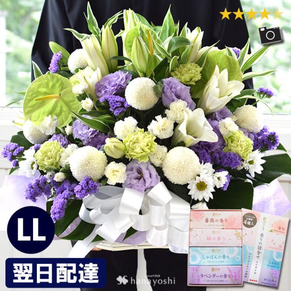 [Release date: August 1, 2010]【内容】季節の花各種/グリーン/　　※お花の色合いについて：●白のみ、にはグリーン系のお花が入ることがあります。●白＋ブルーパープル、には、季節や入荷状況により、ブルー、またはパー...
