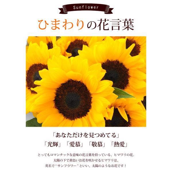 大輪 ひまわり 花束 夏を贈ろう ひまわりのブーケ 花 夏 お中元 ギフト ヒマワリ 生花 誕生日 プレゼント 女性 母 妻 お花 退職祝い Buyee Buyee Japanese Proxy Service Buy From Japan Bot Online