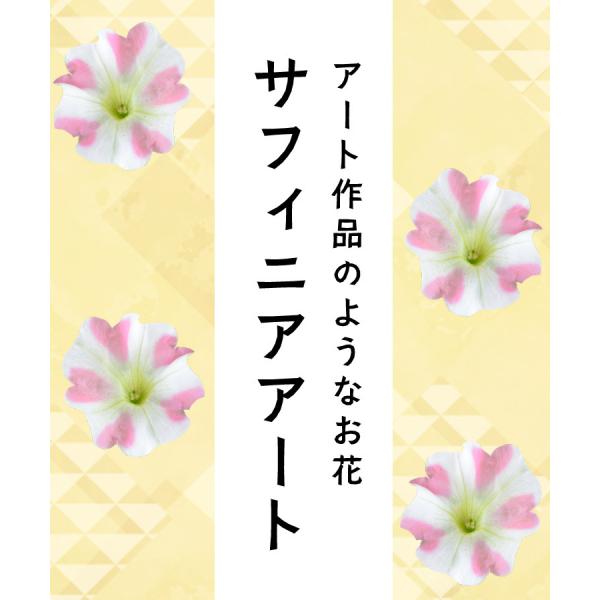 母の日 プレゼント 花 鉢植え ギフト 21 選べるサフィニアアート ももいろハート 江戸しぼり あずきフラッペ とらネコ サントリーフラワーズ サフィニア Buyee Buyee Japanese Proxy Service Buy From Japan Bot Online