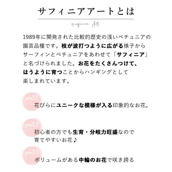 母の日 送料無料 母の日限定ギフト サフィニアアート ももいろハート サントリーフラワーズ 花鉢 鉢花 サフィニア フラワーギフト プレゼント ギフト Buyee Buyee Japanese Proxy Service Buy From Japan Bot Online
