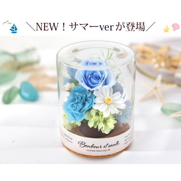 �v���U�[�u�h�t�����[ �p���b�g �����F�[�� �{�g���t�����[ �� ��̓� �a�����v���[���g ���� �� �����j�� �ސE�j�� �җ�j�� �u���U�[�h�t�����[ �o�� ���i�摜1