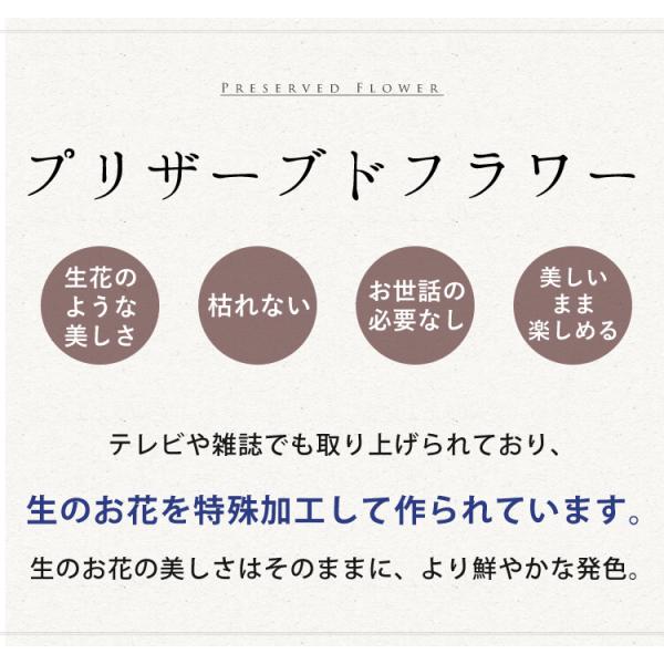 ������ ������� �v���U�[�u�h�t�����[ ���� ���~ �� 49�� �@�v ����� ���� �@�� ���蕨 ���d�p �u���U�[�h �������p �A�����W�����g Priere �v���G�[��-�F�� ���i�摜2