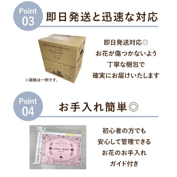 ������ ������� �v���U�[�u�h�t�����[ ���� ���~ �� 49�� �@�v ����� ���� �@�� ���蕨 ���d�p �u���U�[�h �������p �A�����W�����g Priere �v���G�[��-�F�� ���i�摜5