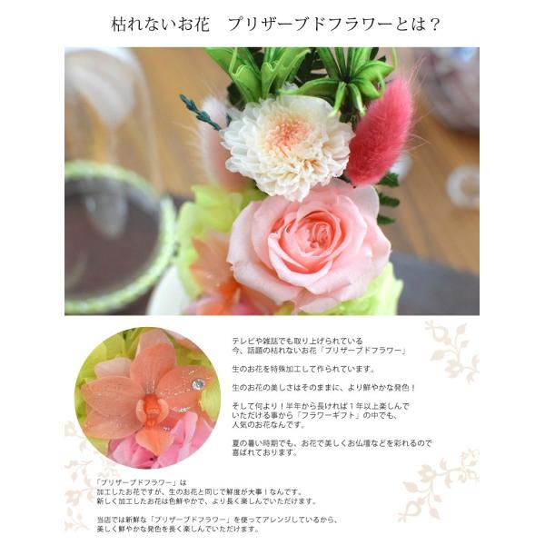 お供え プリザーブドフラワー 仏花 ガラスドーム 羽乃花 わのか 仏壇用 胡蝶蘭 お悔やみ 花 一周忌 命日 お彼岸 贈り物 供花 ブリザードフラワー Buyee Buyee Japanese Proxy Service Buy From Japan Bot Online