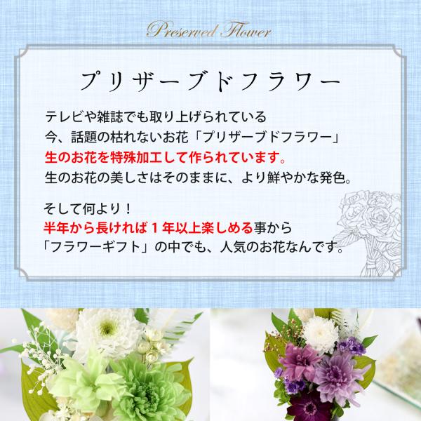 ������ ������� �v���U�[�u�h�t�����[ ���� ���~ �� 49�� �@�v ����� ���� �@�� ���d�p ���蕨 �u���U�[�h �������p �A�����W�����g �|�����X ���i�摜2