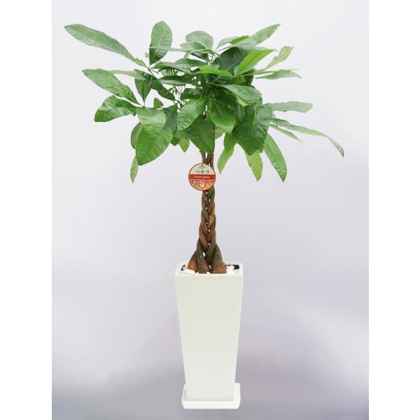 ϗtA pL 7 p픫     CeA Mtg Ă₷  z Vz JX Mtg   o^C