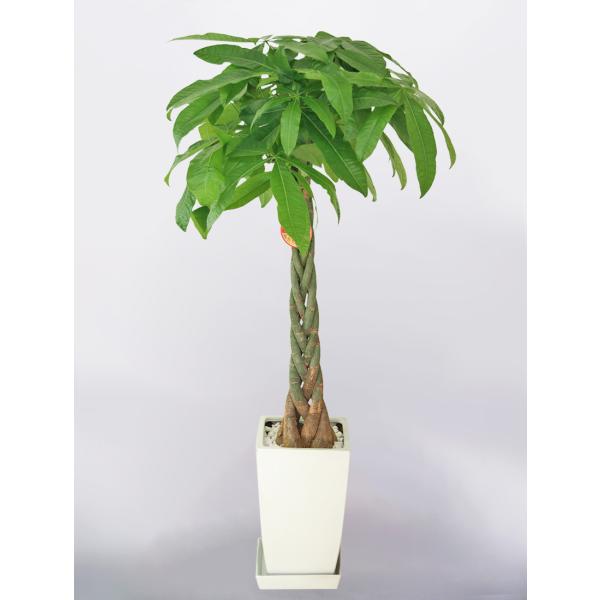 ϗtA pL 8 p픫   CeA Mtg Ă₷  z Vz JX Mtg   o^C