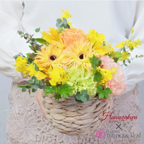 G߂̂CAWg CG[ STCY JS 22cm ސE Vz a LO  LO vCY Mtg  J[ o^C