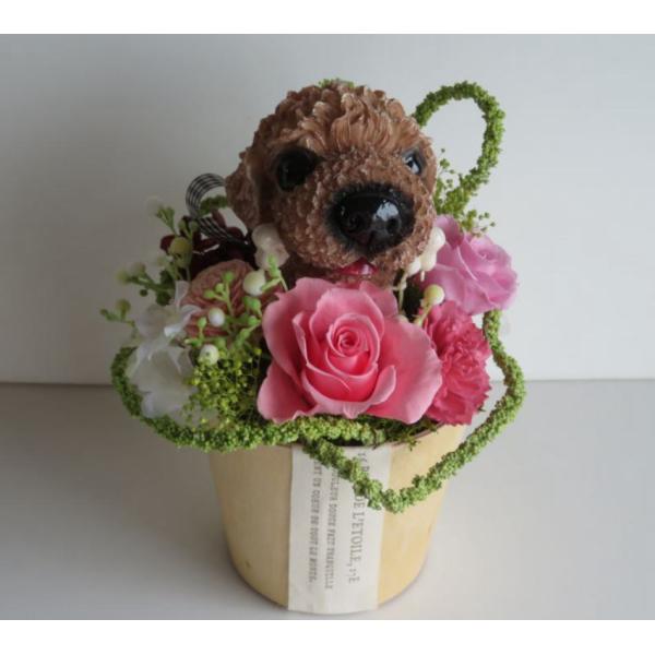 hanazakkahanako_1008