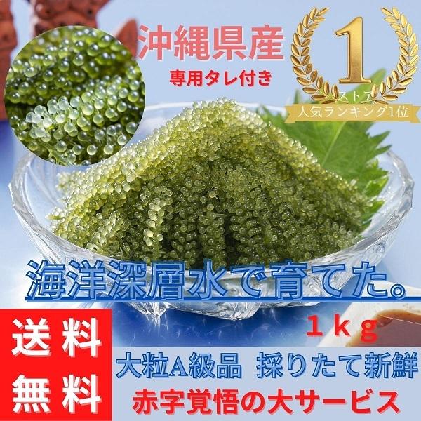 送料無料 海ぶどう 沖縄県産 タレ付き【1kg】 A級品大粒 海洋深層水で 